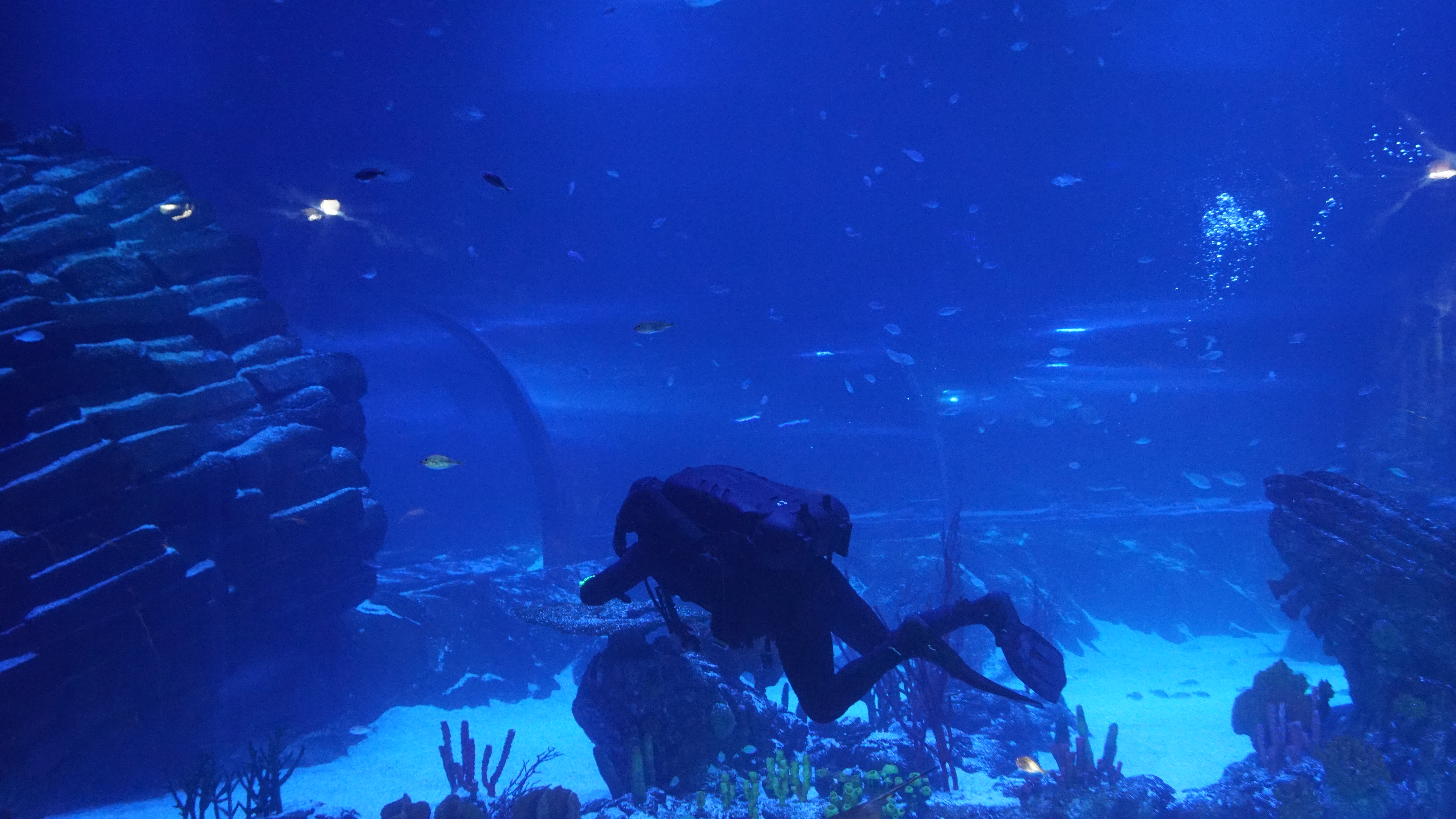Atlantis 26.JPG