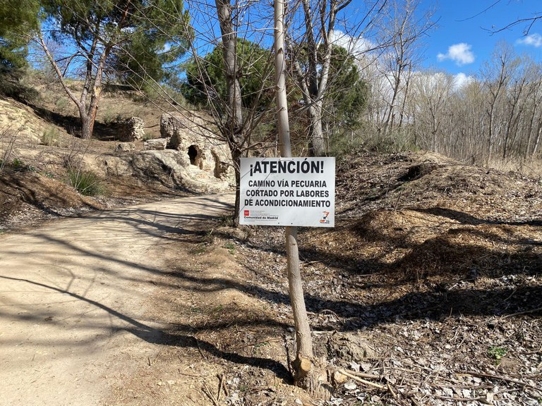 Comienzan los trabajos de acondicionamiento y refuerzo de la Vía Pecuaria de Arroyomolinos