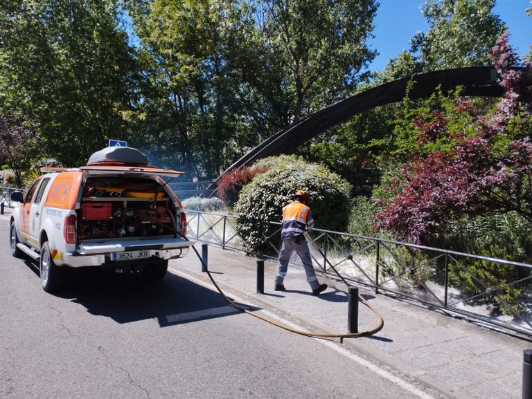 EL AYUNTAMIENTO DE ARROYOMOLINOS RIEGA Y RETIRA LA PELUSA BLANCA (VILANO) ACUMULADA EN PARQUES Y JARDINES PARA EVITAR INCENDIOS FORESTALES 