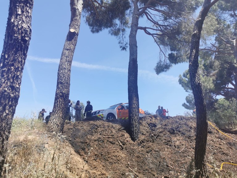 COMUNICADO EN RELACIÓN AL INCENDIO PRODUCIDO EN EL PINAR 