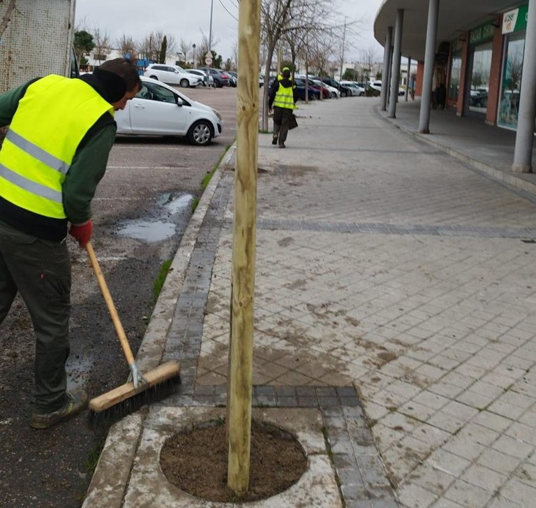 Arroyomolinos amplía su plan del arbolado con la plantación de otros 733 ejemplares