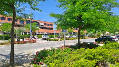 Arroyomolinos aprueba la licitación del plan que permitirá plantar 2.657 árboles