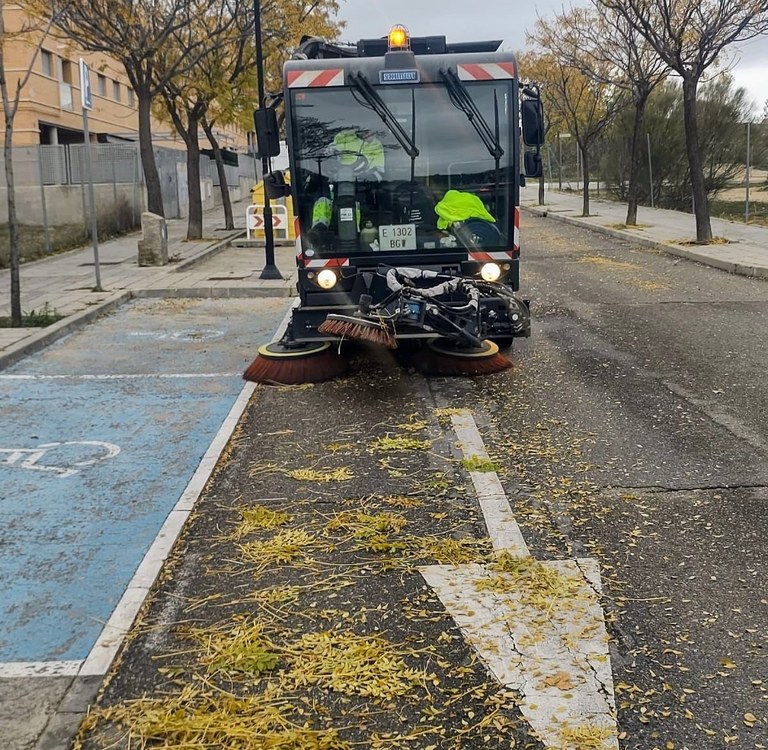 Arroyomolinos despliega un plan especial para la recogida de la hoja