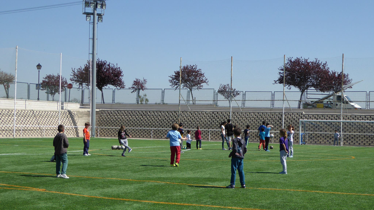 Edicto: selección de proyectos de escuelas deportivas para su inclusión en la oferta municipal de actividades de la Concejalía de Deportes
