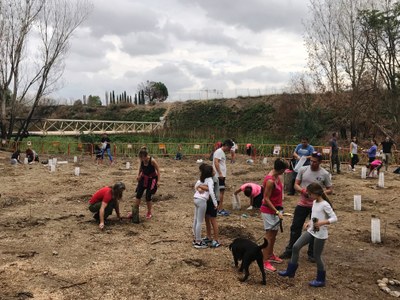 Casi 200 vecinos vecinos se han sumado al llamamiento de la Asociación Arroyo Verde y el Ayuntamiento comenzar la reforestación de la zona quemada el pasado junio