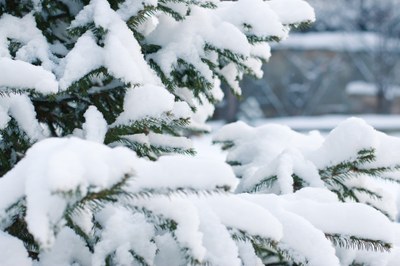 El Ayuntamiento de Arroyomolinos prepara un dispositivo especial ante la previsión de bajas temperaturas y de fuertes nevadas para los próximos días 