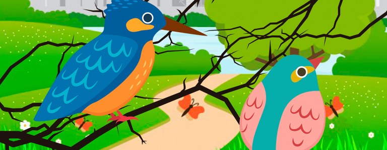 8º Certamen Ornitológico 'La Timbrada' Canto de aves en Arroyomolinos