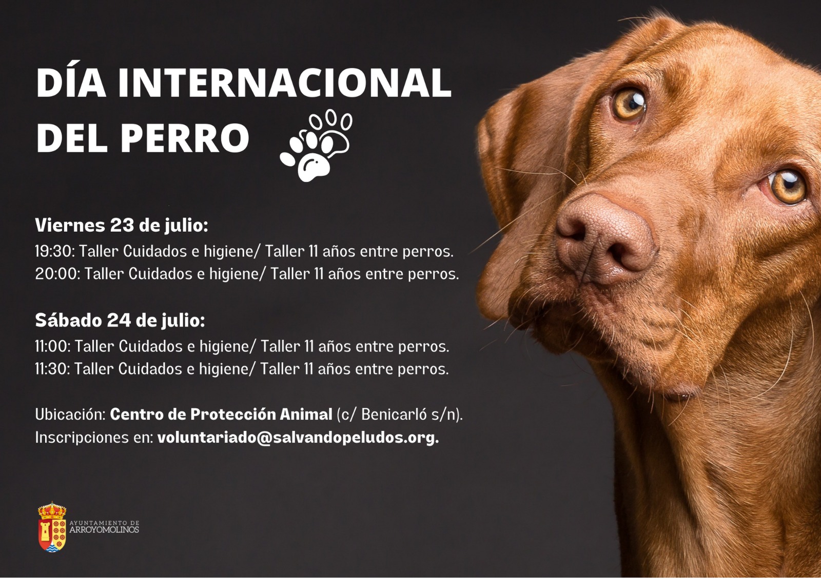 Día Internacional del Perro — Ayuntamiento de Arroyomolinos
