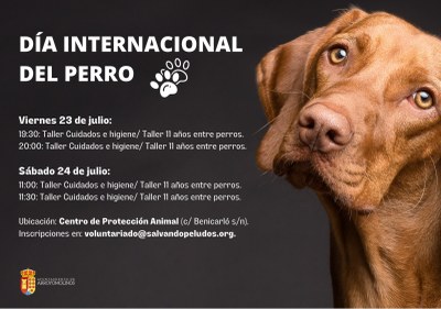 Día Internacional del Perro