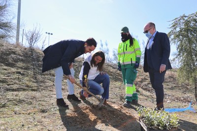 Arroyomolinos incrementará sus zonas verdes con 7.500 nuevos árboles y arbustos en los próximos 4 años