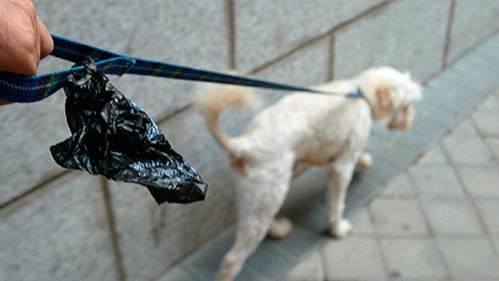 Si tienes mascota, recuerda tu responsabilidad con la limpieza de Arroyomolinos