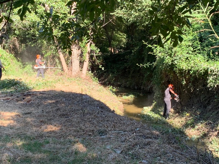 El Ayuntamiento de Arroyomolinos inicia los trabajos de limpieza y desbroce de los cauces de los dos arroyos que atraviesan el casco urbano