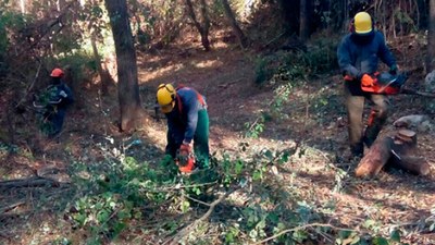 Tareas de limpieza, desbroce y mantenimiento en arroyos y el parque natural