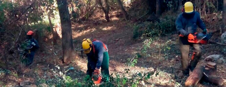 Tareas de limpieza, desbroce y mantenimiento en arroyos y el parque natural