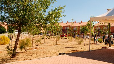 Nueva campaña "Un niño un árbol" para los pequeños nacidos en el año 2015