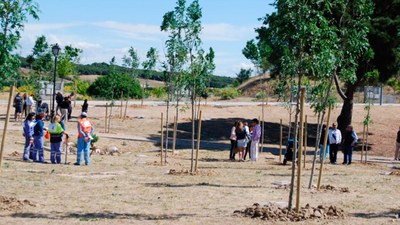 El sábado 5 de noviembre vuelve a Arroyomolinos la campaña "Un niño un árbol"