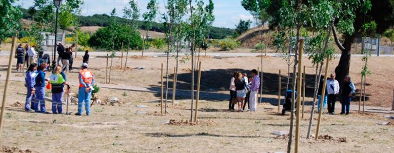El sábado 5 de noviembre vuelve a Arroyomolinos la campaña "Un niño un árbol"