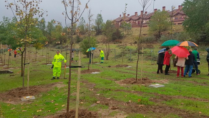 Campaña especial “Un niño un árbol para todos” para los pequeños nacidos entre 2007 y 2015