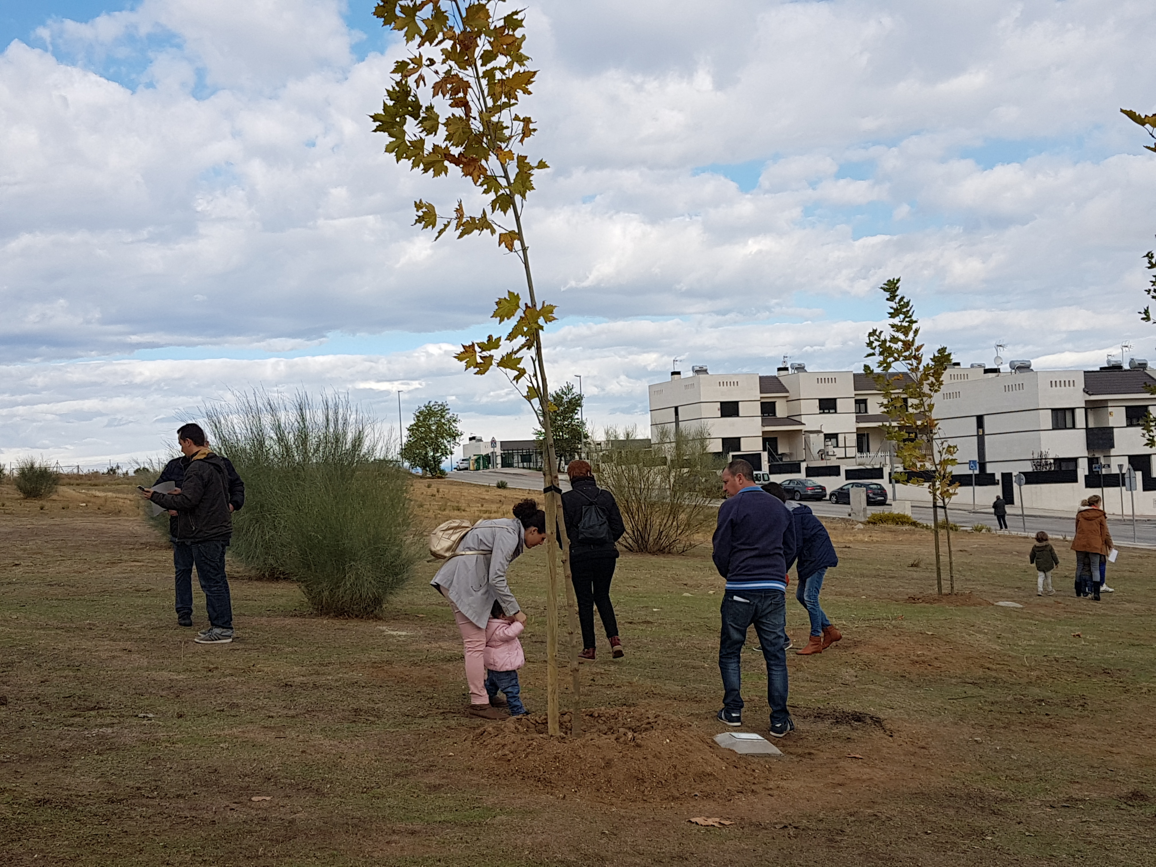 Un niño un arbol  (1).jpg