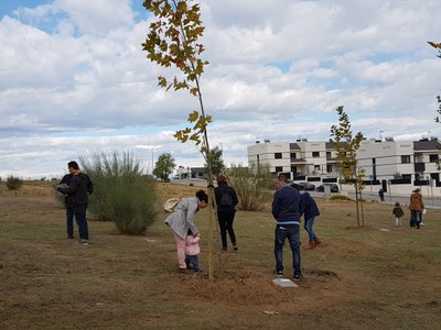 Un niño un arbol  (1).jpg