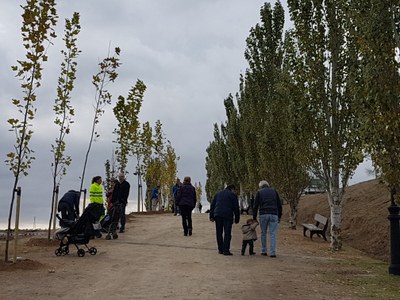 Un niño un arbol  (4).jpg