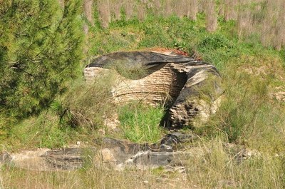 Molino del Caño.jpg