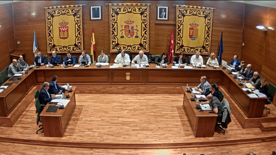 El próximo 30 de julio a las 09:00 horas, Pleno extraordinario del Ayuntamiento de Arroyomolinos